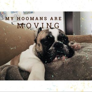 **MOVING NOT AVAILABLE FOR AWHILE**